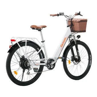 Cityrun-26 Elektrofahrrad 36V 10AH Akku 250W Motor 26 Zoll Räder