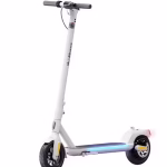 A5 Electric Scooter 9 inch 36V 350W Motor 25km/h speed