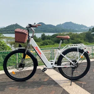 Bolbol test: CityRun 26″ elektrische fiets – 250 W, 36 V, 10 Ah, tot 60-80 km bereik