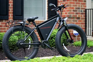 Wie wählt man ein E‑Bike als Weihnachts‑ und Neujahrsgeschenk? Strebers Leitfaden, damit das Geschenk nicht zum Garagen‑Exponat wird